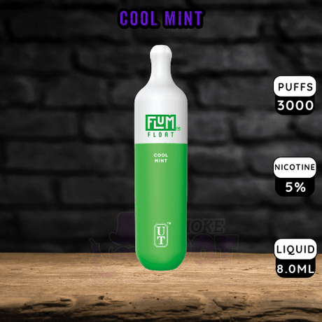 cool-mint-flum-float-3000-ssv